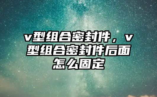 v型組合密封件，v型組合密封件后面怎么固定