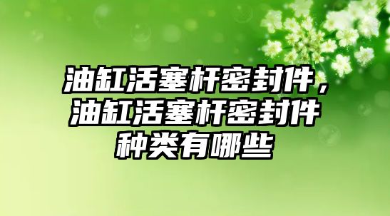 油缸活塞桿密封件，油缸活塞桿密封件種類有哪些