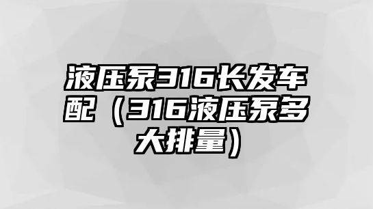 液壓泵316長(zhǎng)發(fā)車配（316液壓泵多大排量）