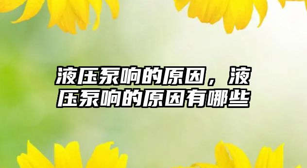 液壓泵響的原因，液壓泵響的原因有哪些