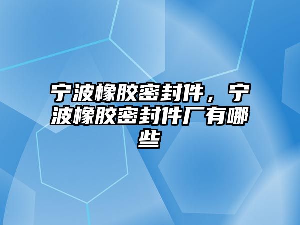 寧波橡膠密封件，寧波橡膠密封件廠有哪些