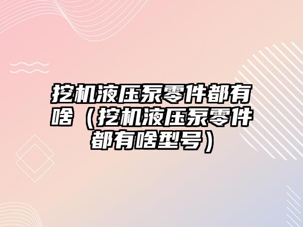 挖機液壓泵零件都有啥（挖機液壓泵零件都有啥型號）