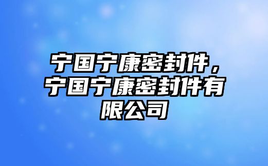 寧國(guó)寧康密封件，寧國(guó)寧康密封件有限公司