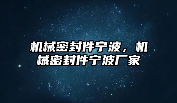 機(jī)械密封件寧波，機(jī)械密封件寧波廠(chǎng)家