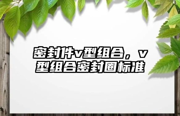 密封件v型組合，v型組合密封圈標(biāo)準(zhǔn)