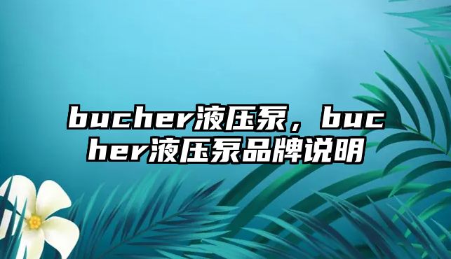 bucher液壓泵，bucher液壓泵品牌說明