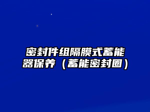 密封件組隔膜式蓄能器保養(yǎng)（蓄能密封圈）