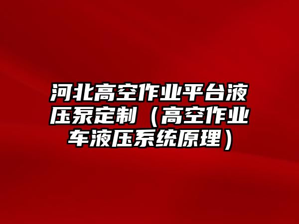 河北高空作業(yè)平臺(tái)液壓泵定制（高空作業(yè)車(chē)液壓系統(tǒng)原理）