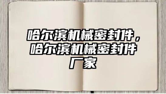 哈爾濱機械密封件，哈爾濱機械密封件廠家