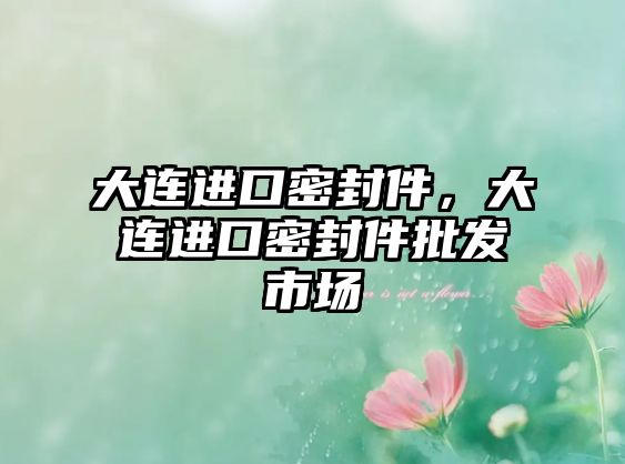 大連進(jìn)口密封件，大連進(jìn)口密封件批發(fā)市場(chǎng)