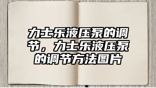 力士樂液壓泵的調節(jié)，力士樂液壓泵的調節(jié)方法圖片