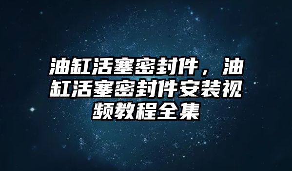 油缸活塞密封件，油缸活塞密封件安裝視頻教程全集