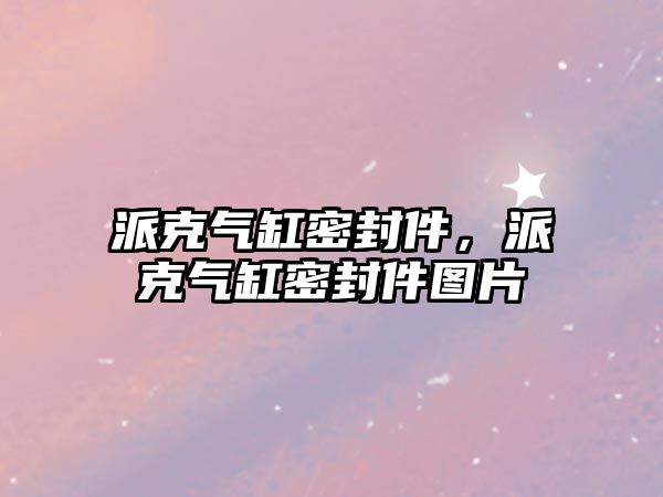 派克氣缸密封件，派克氣缸密封件圖片