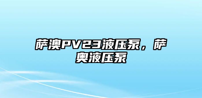 薩澳PV23液壓泵，薩奧液壓泵