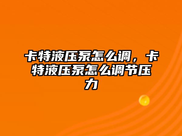 卡特液壓泵怎么調(diào)，卡特液壓泵怎么調(diào)節(jié)壓力