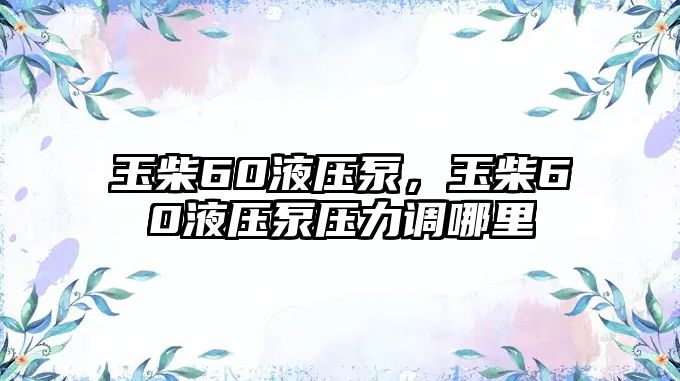 玉柴60液壓泵，玉柴60液壓泵壓力調(diào)哪里