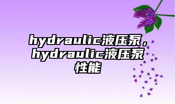 hydraulic液壓泵，hydraulic液壓泵性能