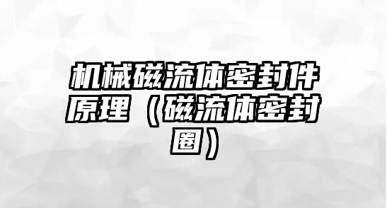 機械磁流體密封件原理（磁流體密封圈）