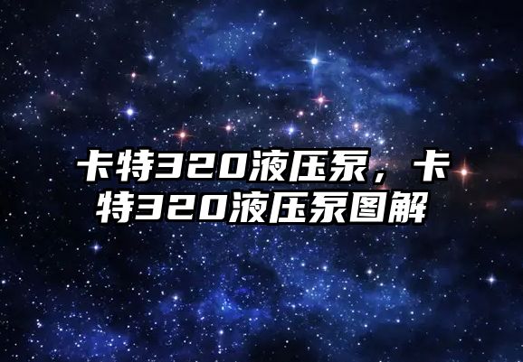 卡特320液壓泵，卡特320液壓泵圖解