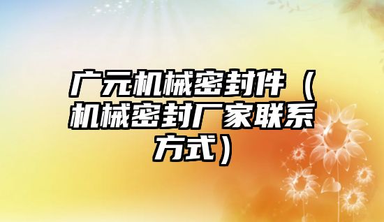 廣元機械密封件（機械密封廠家聯(lián)系方式）