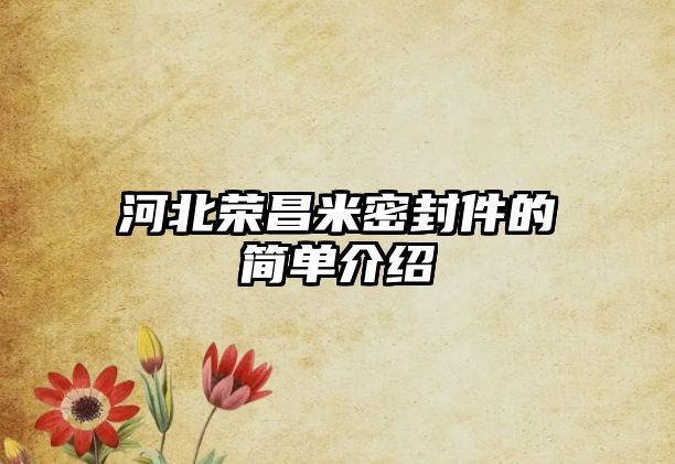 河北榮昌米密封件的簡單介紹