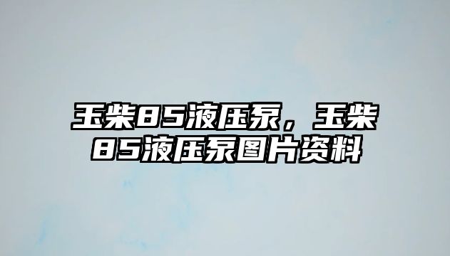 玉柴85液壓泵，玉柴85液壓泵圖片資料