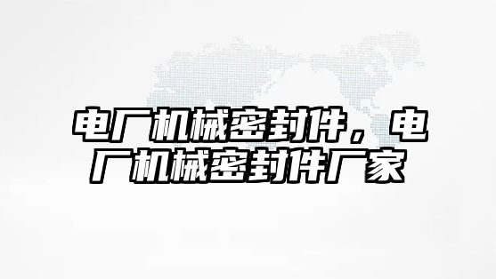 電廠機械密封件，電廠機械密封件廠家