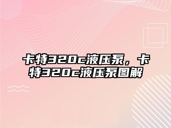 卡特320c液壓泵，卡特320c液壓泵圖解