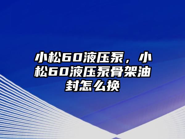 小松60液壓泵，小松60液壓泵骨架油封怎么換