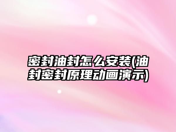 密封油封怎么安裝(油封密封原理動畫演示)