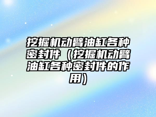 挖掘機動臂油缸各種密封件（挖掘機動臂油缸各種密封件的作用）