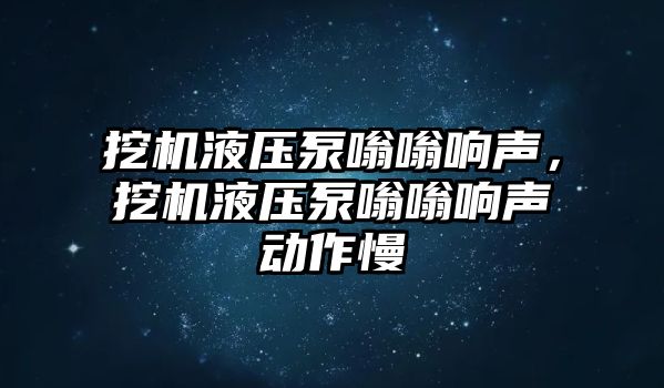 挖機液壓泵嗡嗡響聲，挖機液壓泵嗡嗡響聲動作慢