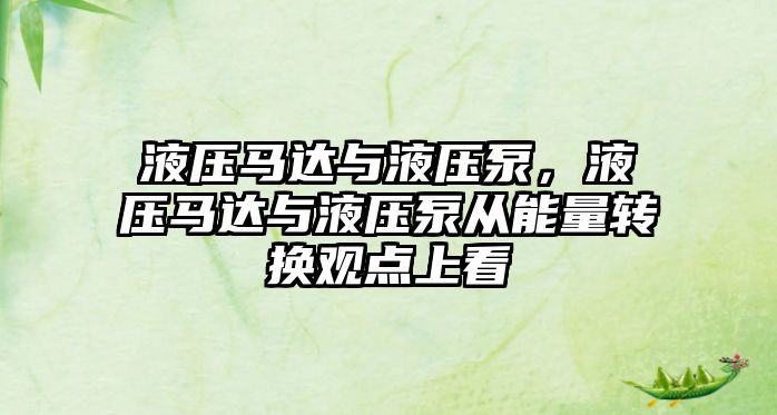 液壓馬達(dá)與液壓泵，液壓馬達(dá)與液壓泵從能量轉(zhuǎn)換觀點(diǎn)上看