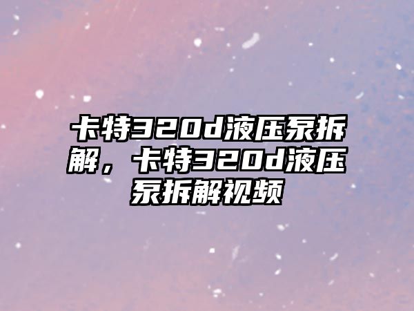 卡特320d液壓泵拆解，卡特320d液壓泵拆解視頻