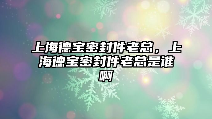 上海德寶密封件老總，上海德寶密封件老總是誰(shuí)啊