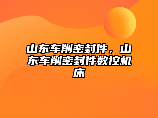 山東車削密封件，山東車削密封件數(shù)控機床