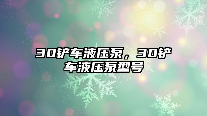 30鏟車液壓泵，30鏟車液壓泵型號