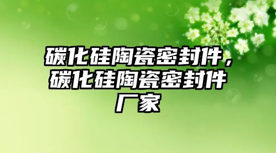 碳化硅陶瓷密封件，碳化硅陶瓷密封件廠家