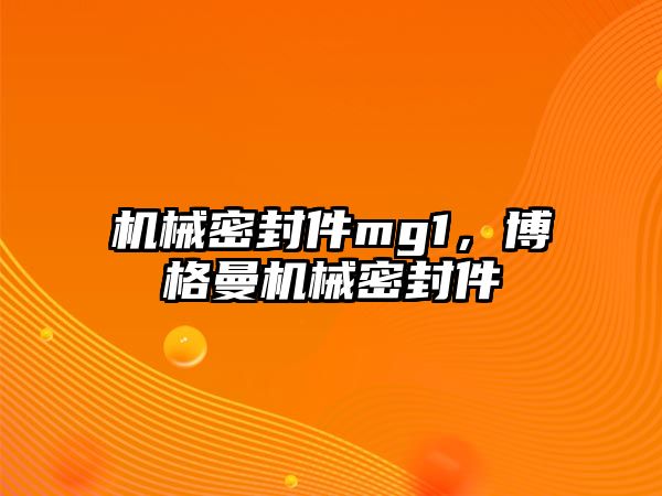 機械密封件mg1，博格曼機械密封件