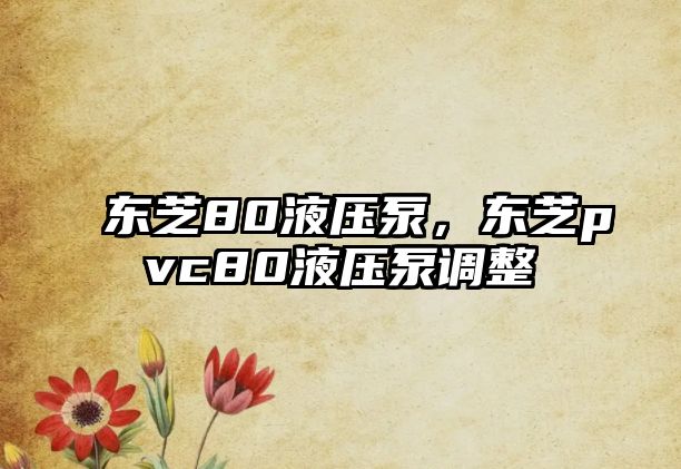 東芝80液壓泵，東芝pvc80液壓泵調(diào)整