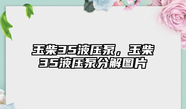 玉柴35液壓泵，玉柴35液壓泵分解圖片