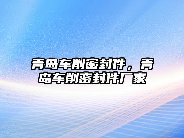 青島車削密封件，青島車削密封件廠家