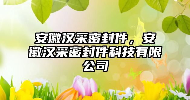 安徽漢采密封件，安徽漢采密封件科技有限公司