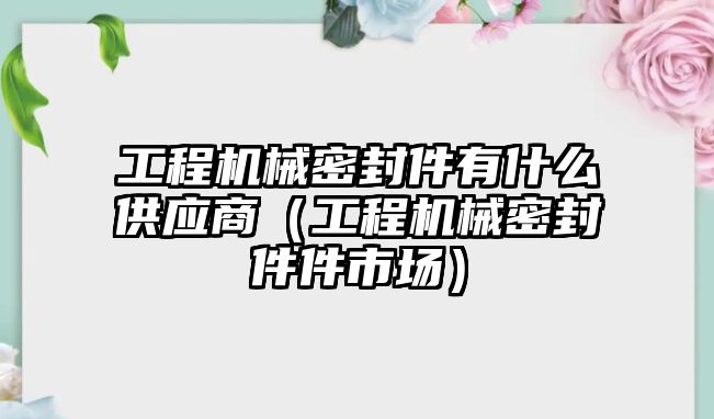 工程機械密封件有什么供應商（工程機械密封件件市場）