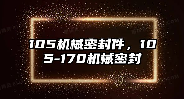 105機(jī)械密封件，105-170機(jī)械密封