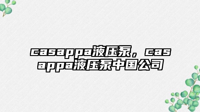 casappa液壓泵，casappa液壓泵中國(guó)公司