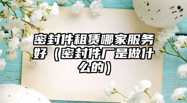 密封件租賃哪家服務(wù)好（密封件廠是做什么的）