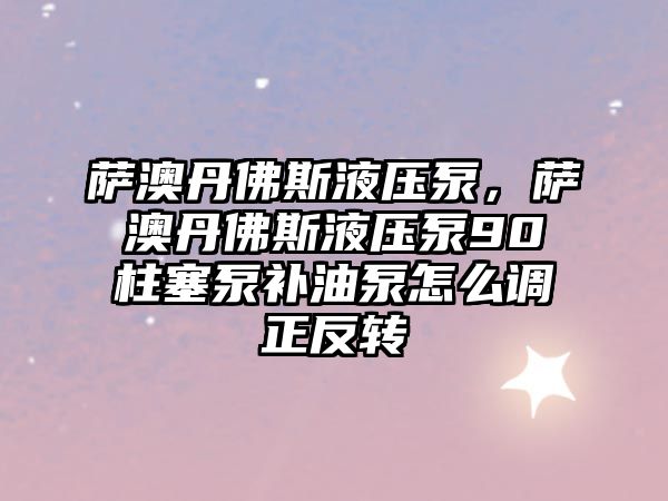 薩澳丹佛斯液壓泵，薩澳丹佛斯液壓泵90柱塞泵補(bǔ)油泵怎么調(diào)正反轉(zhuǎn)