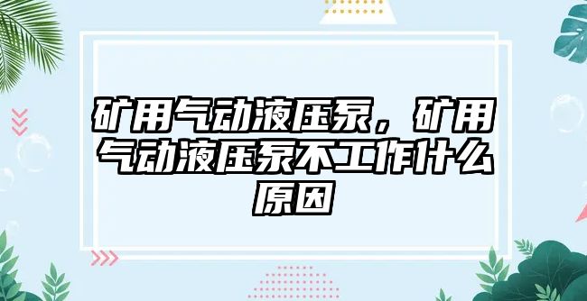 礦用氣動(dòng)液壓泵，礦用氣動(dòng)液壓泵不工作什么原因