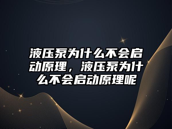 液壓泵為什么不會啟動原理，液壓泵為什么不會啟動原理呢